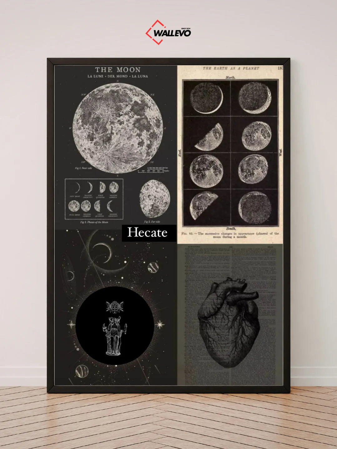 Aesthetic Wall Frame – A Touch of Soft Beauty for Your Space